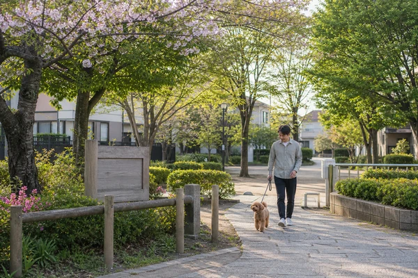 松戸市の風景